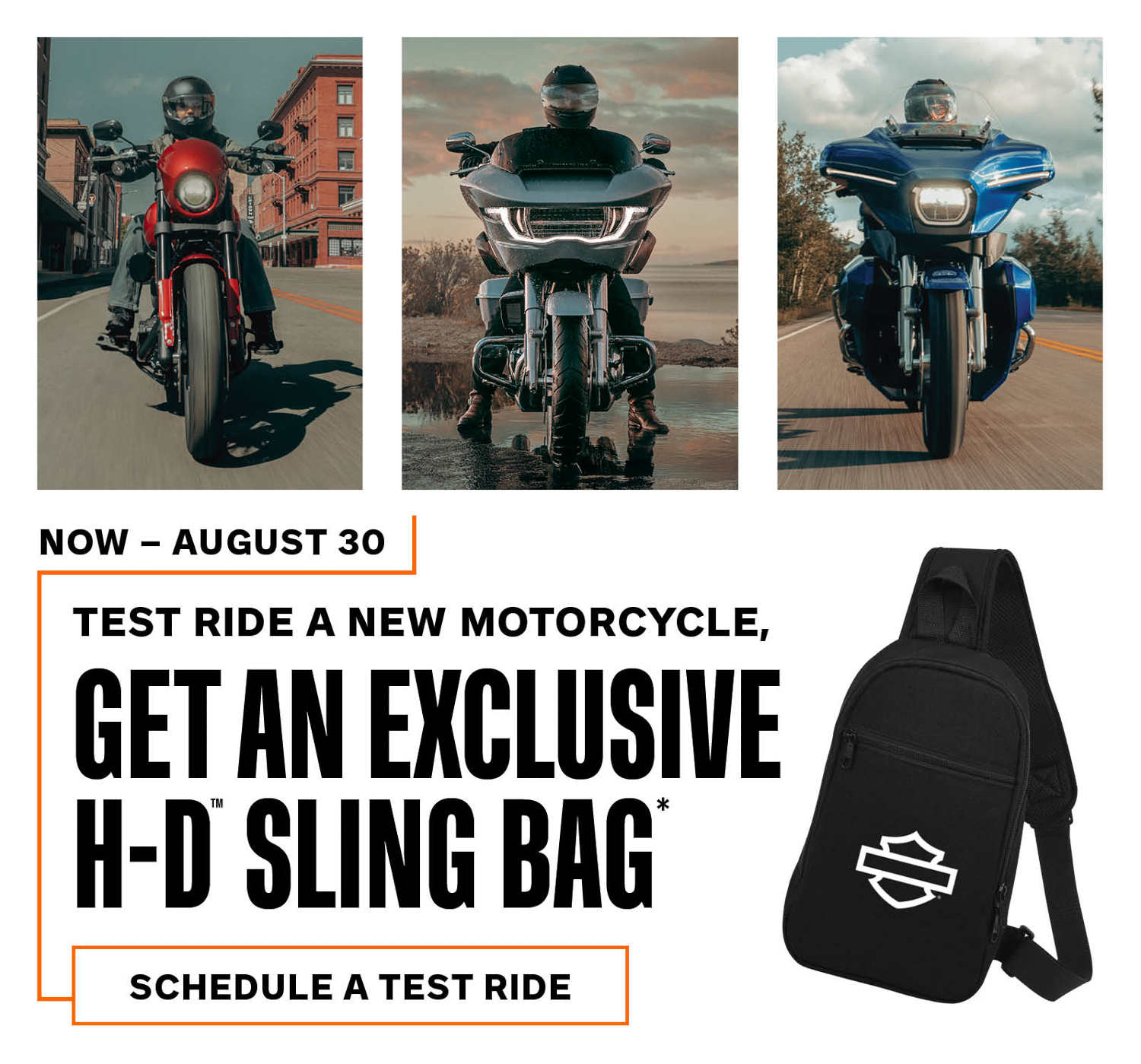Harley-Davidson® Bag Event